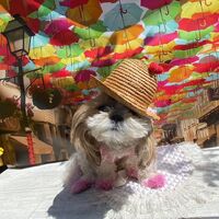 画像14303