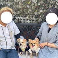 画像14470