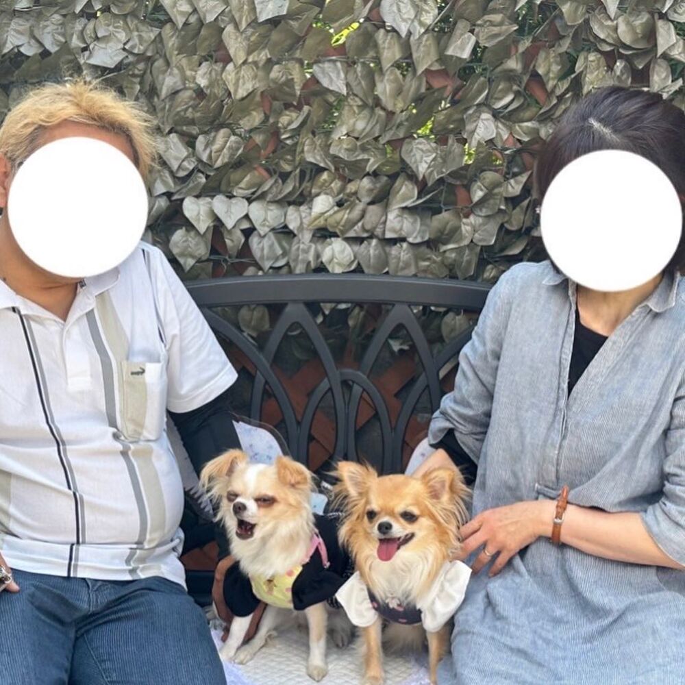 画像14470