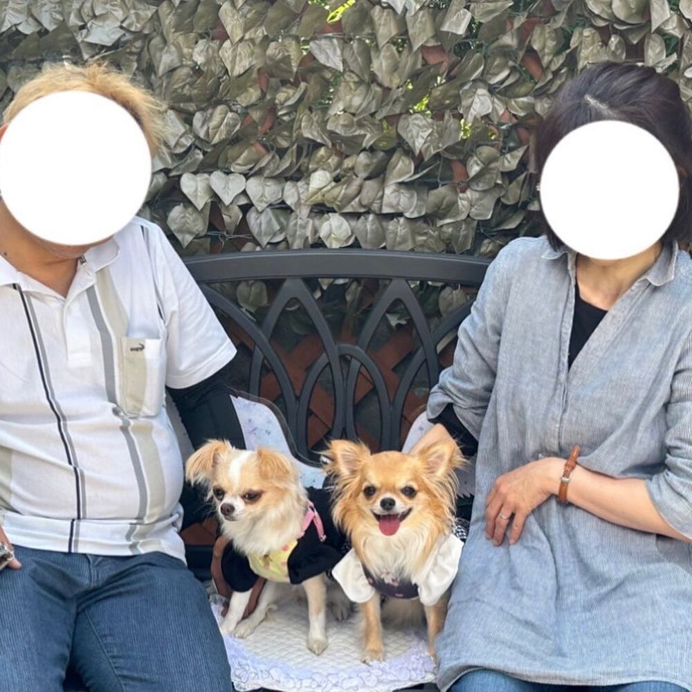 画像14471