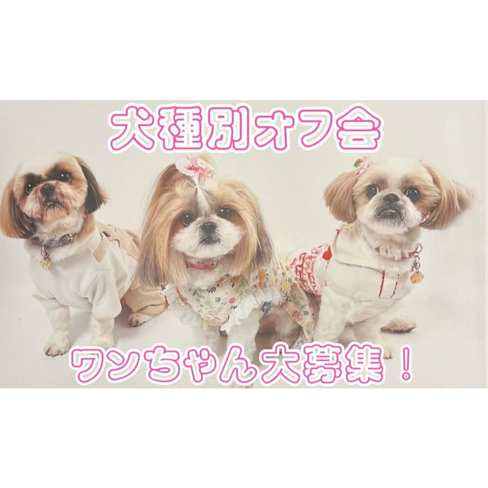 画像14498