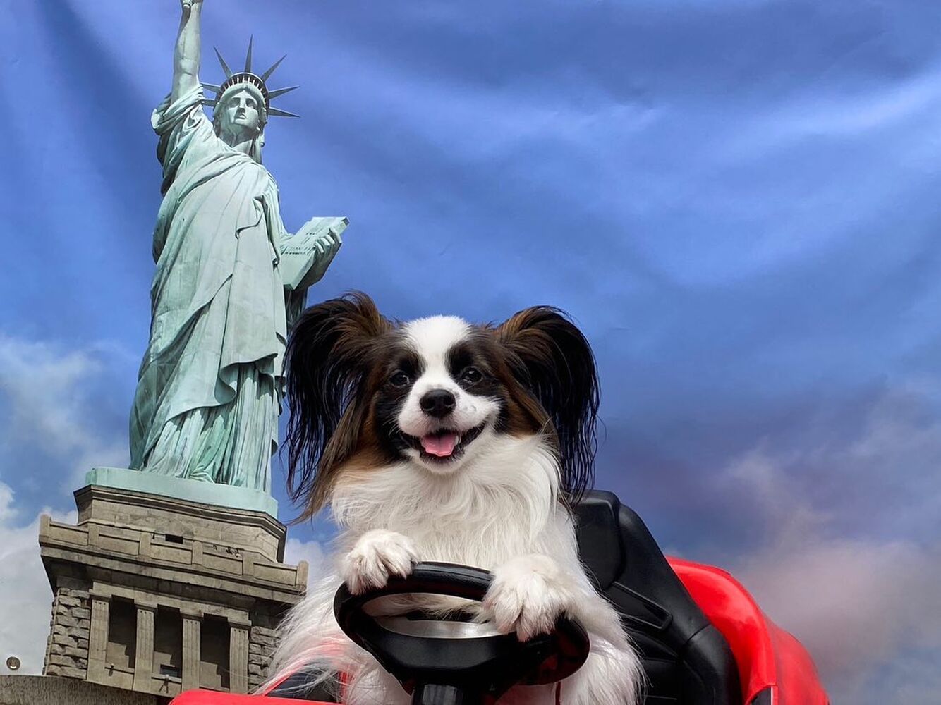 画像14623