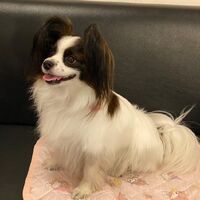 画像14626