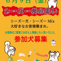 画像14984