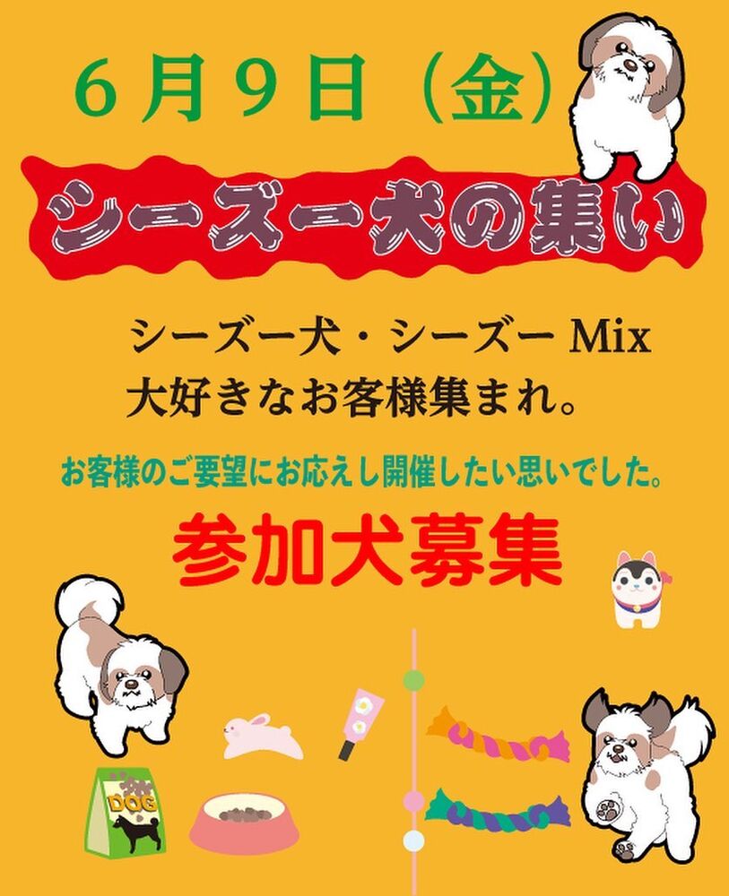 画像14984