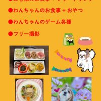 画像14985