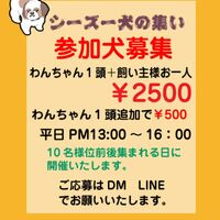 画像14986