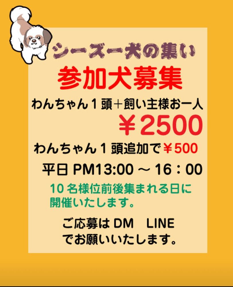 画像14986