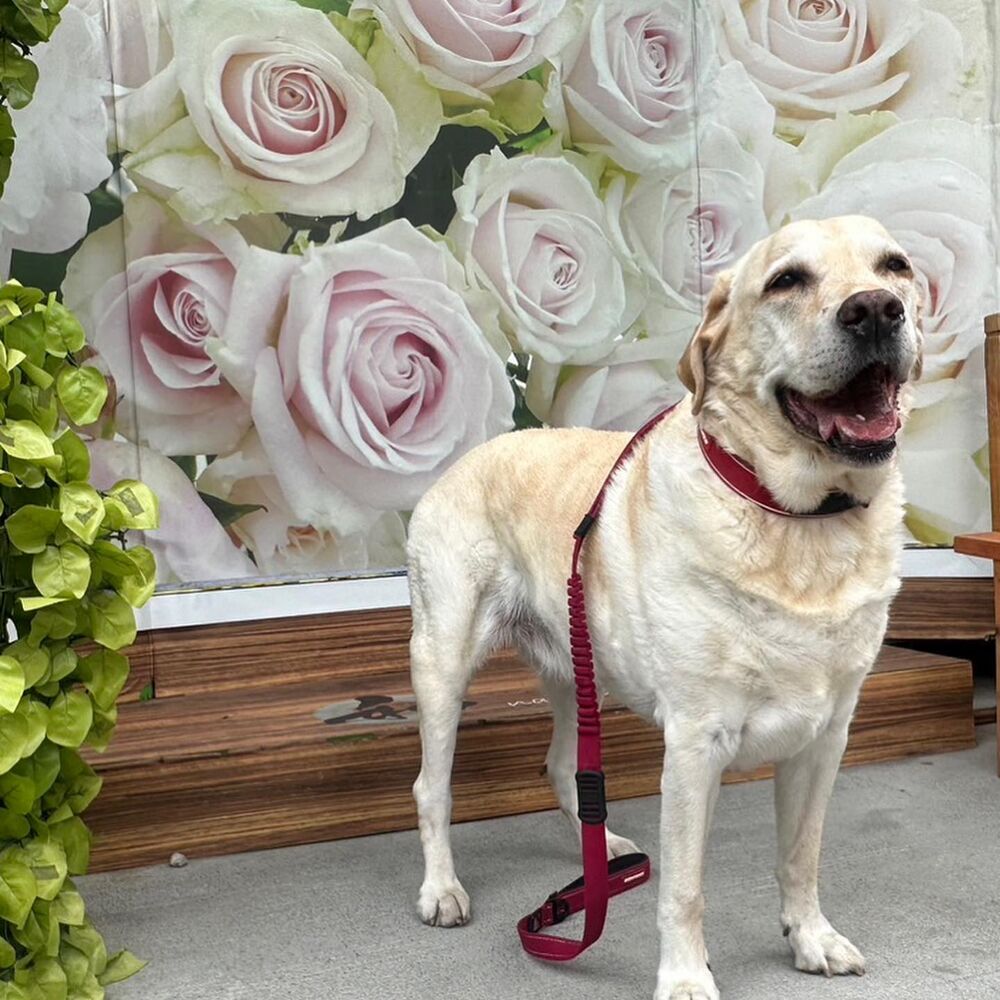 画像15005