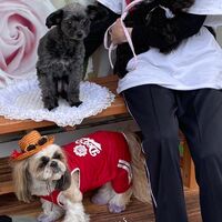 画像15178