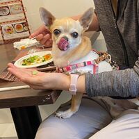 画像15416