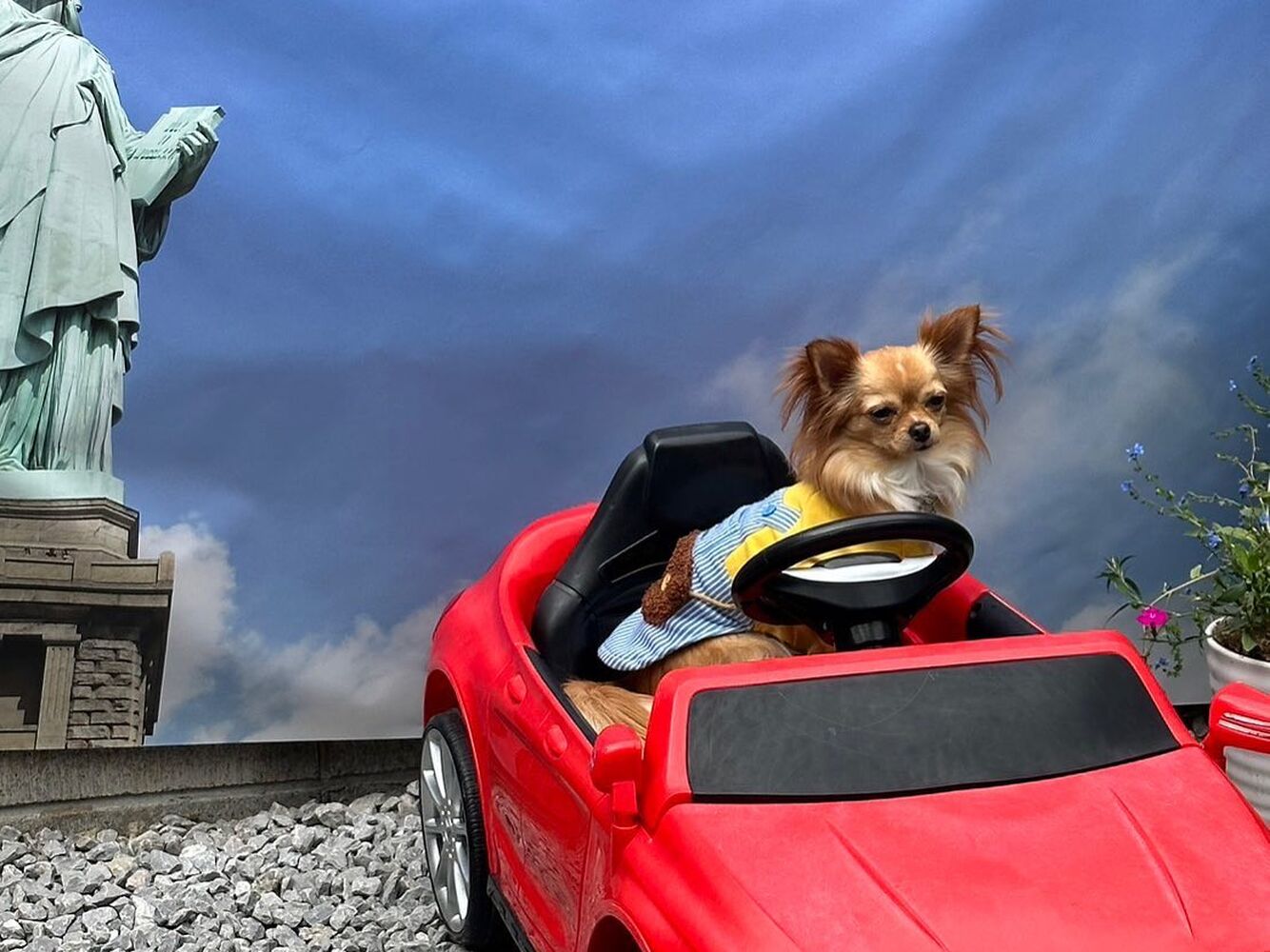 画像15452