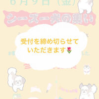 画像15550