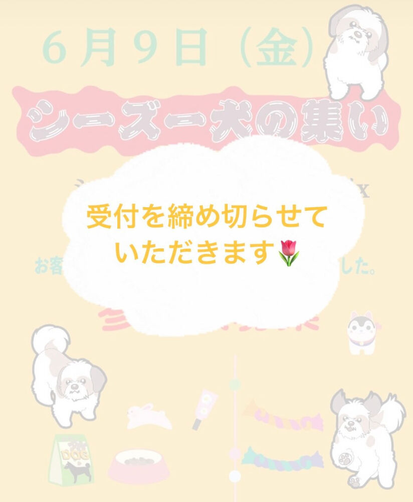 画像15550