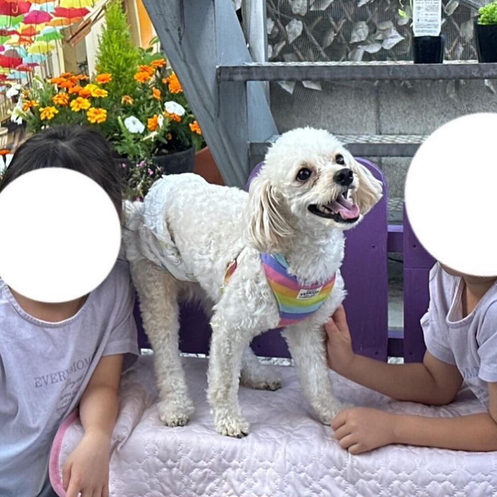 画像15584