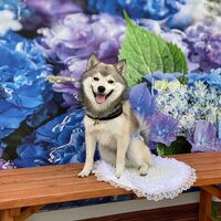 画像15668