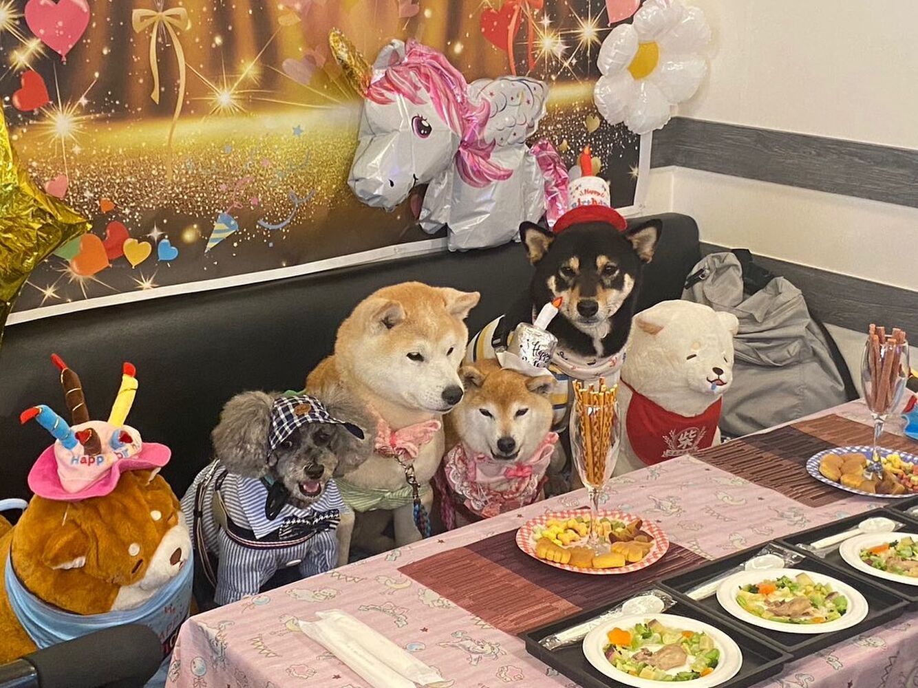 画像15744