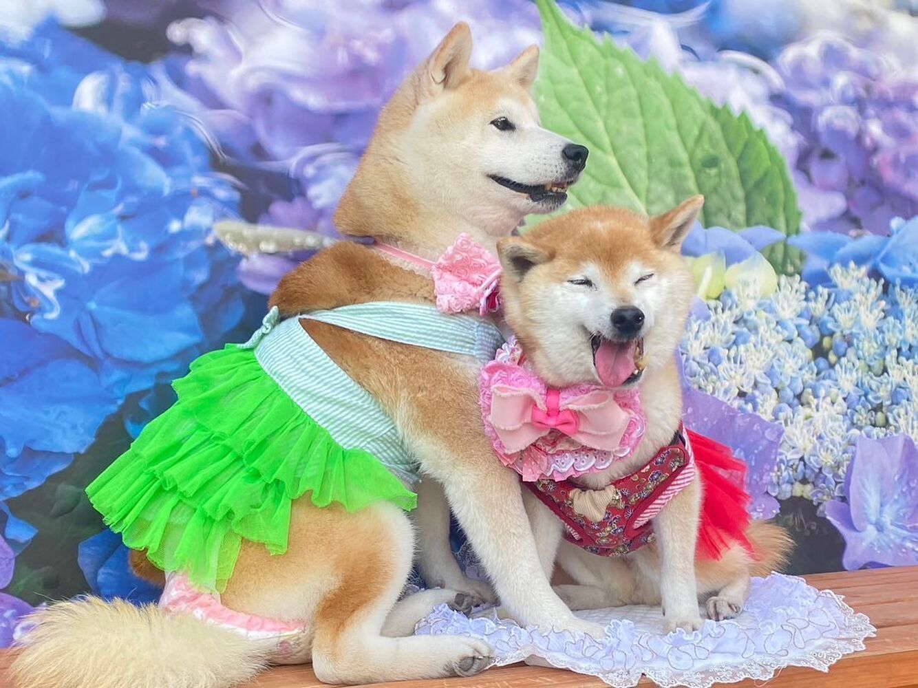 画像15749