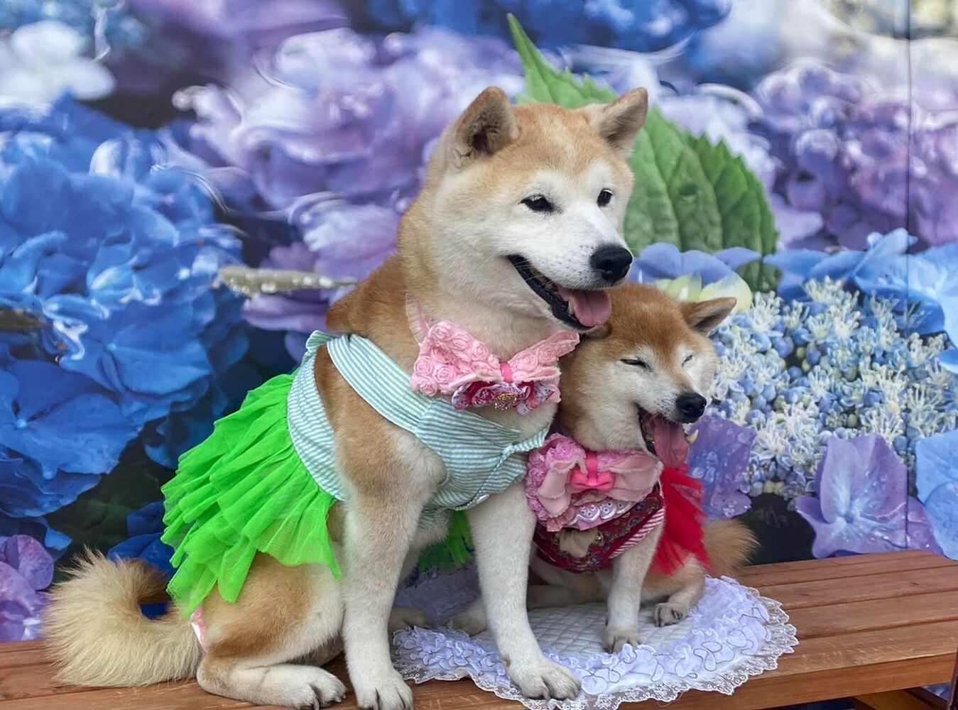画像15750