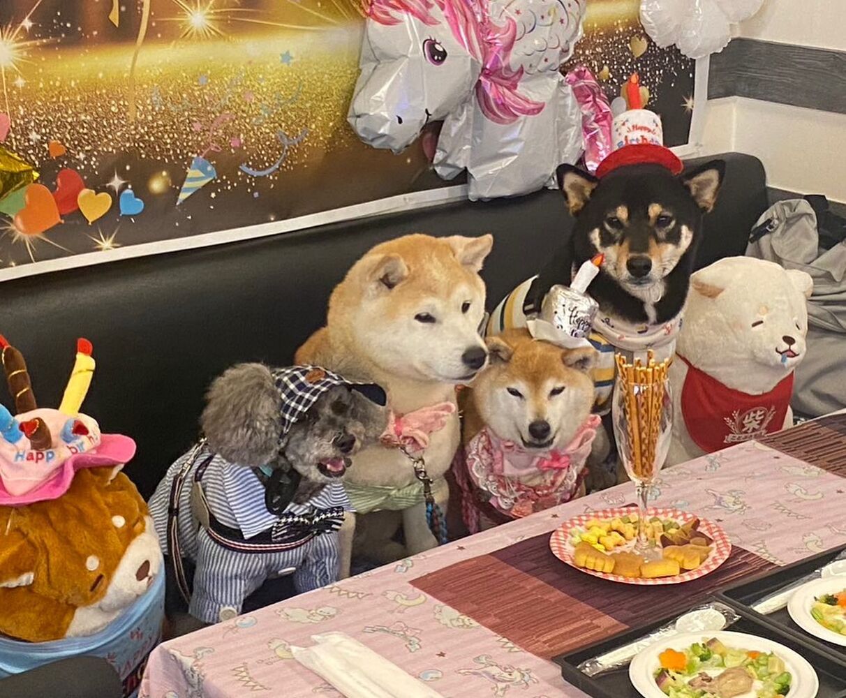 画像15779