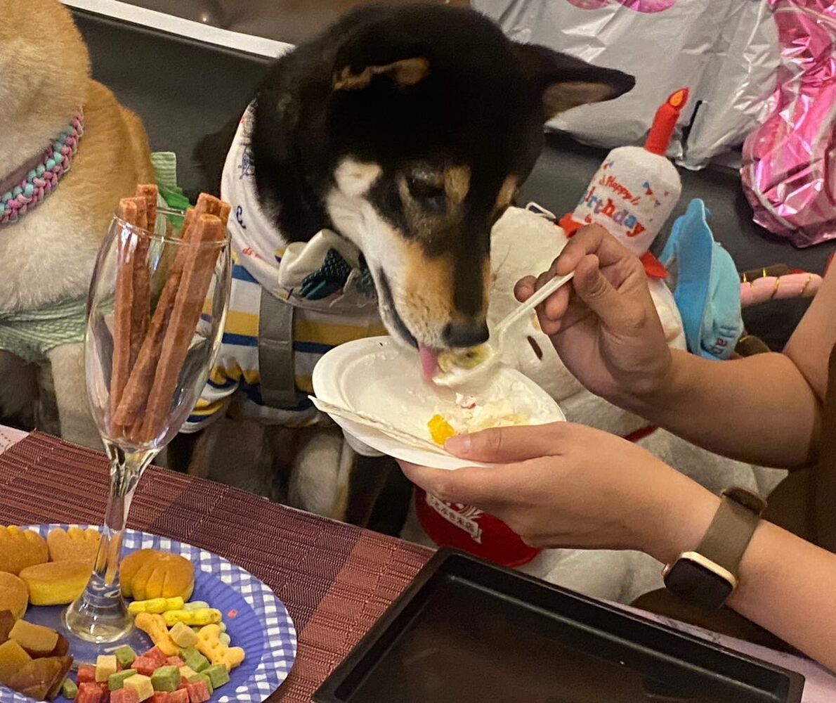 画像15780
