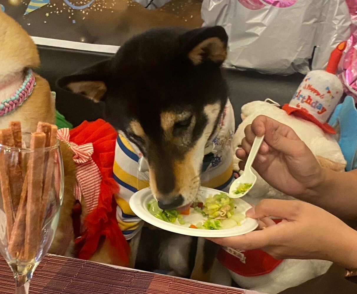 画像15781