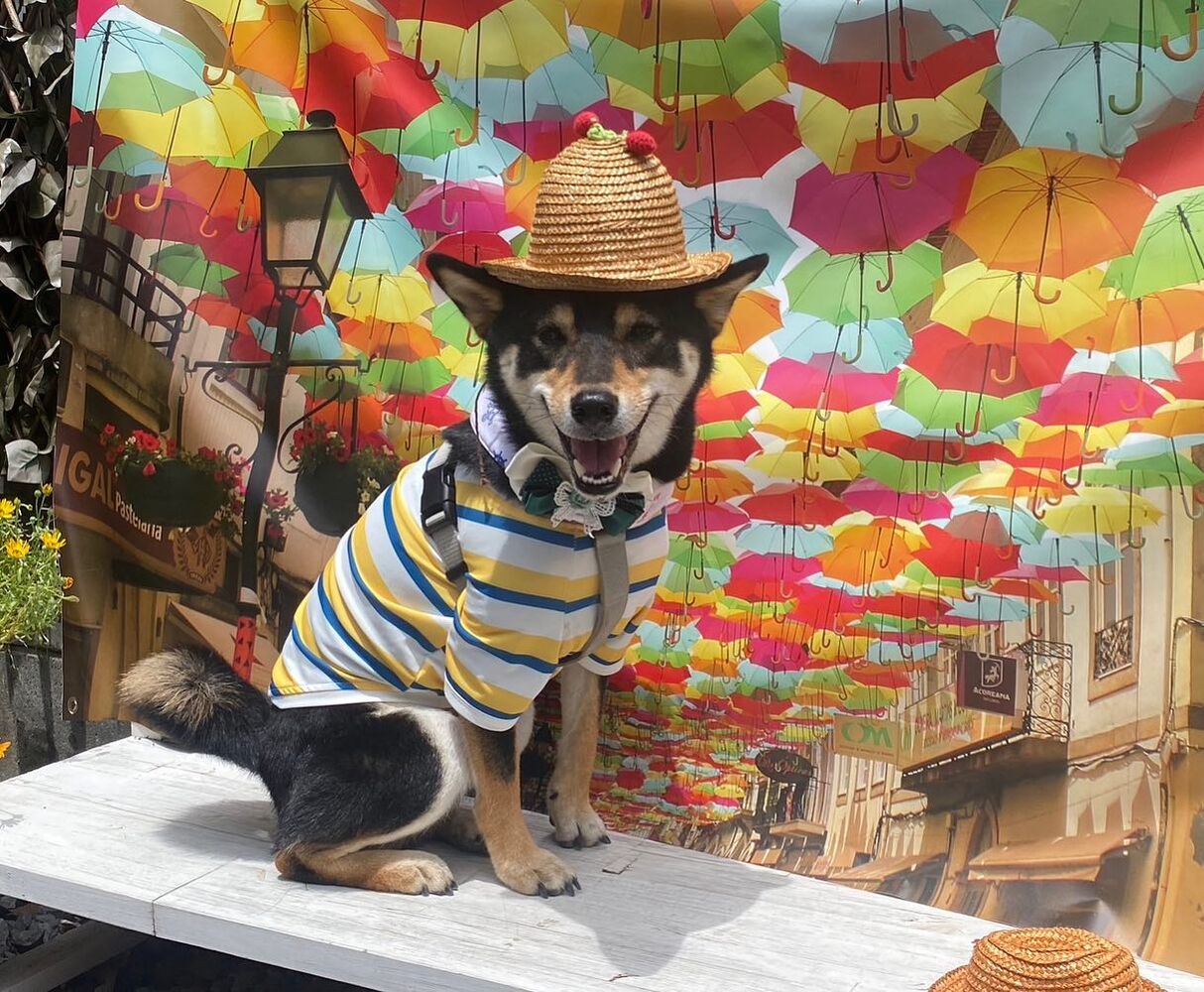 画像15784