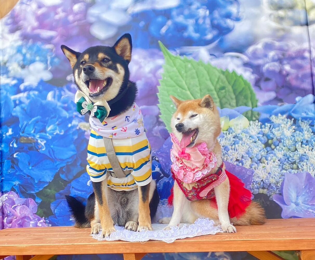 画像15785