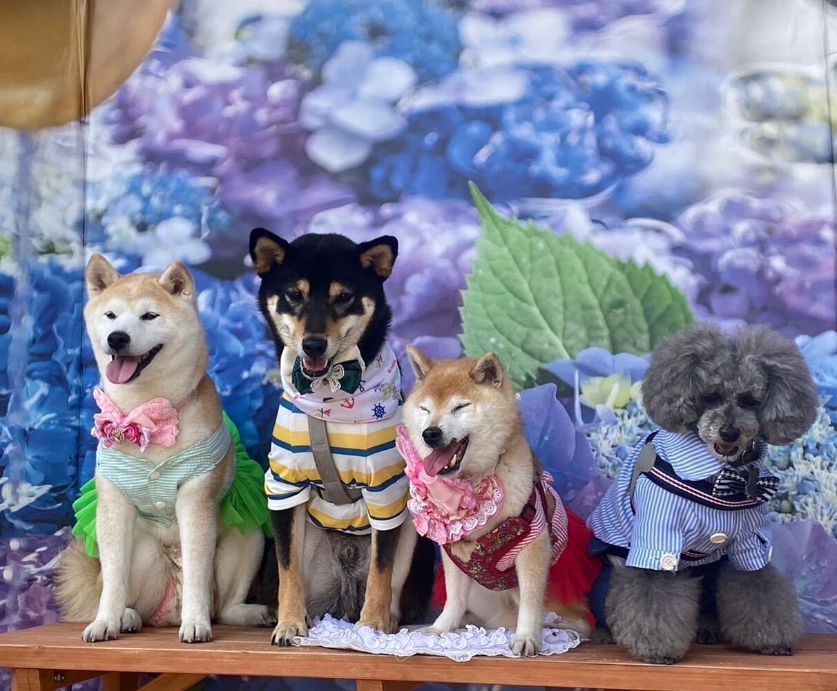 画像15788