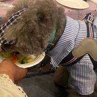 画像15806