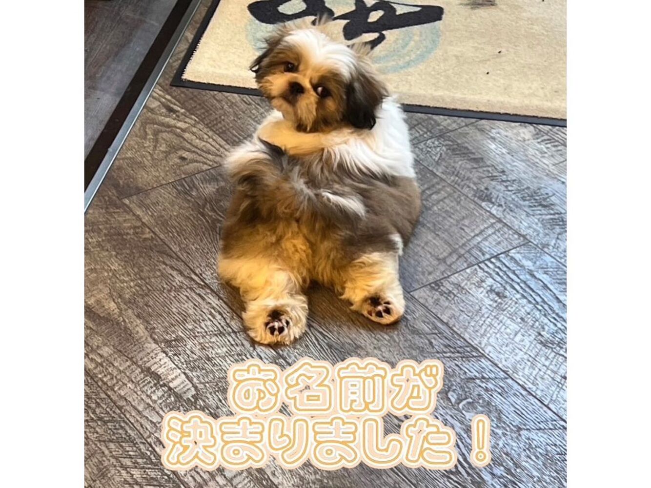 画像15831