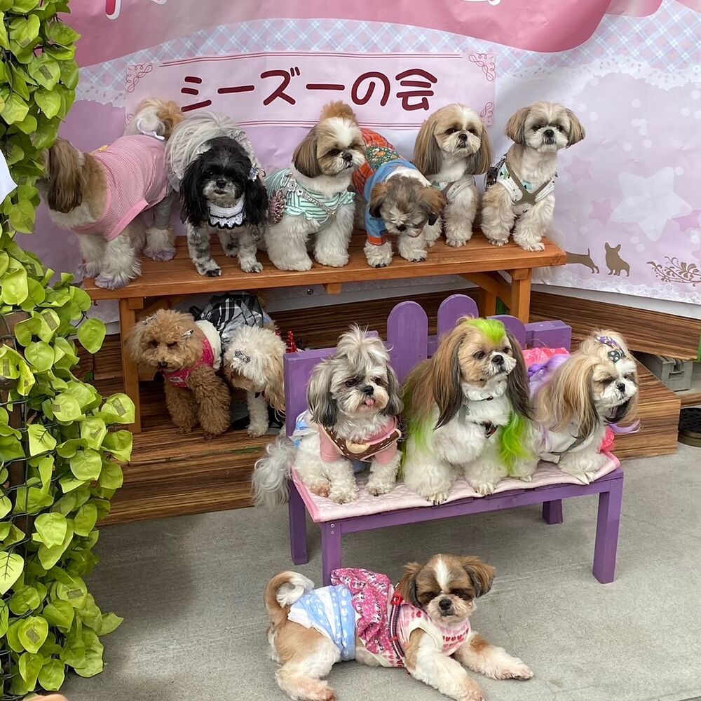 画像15987