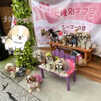 画像15988