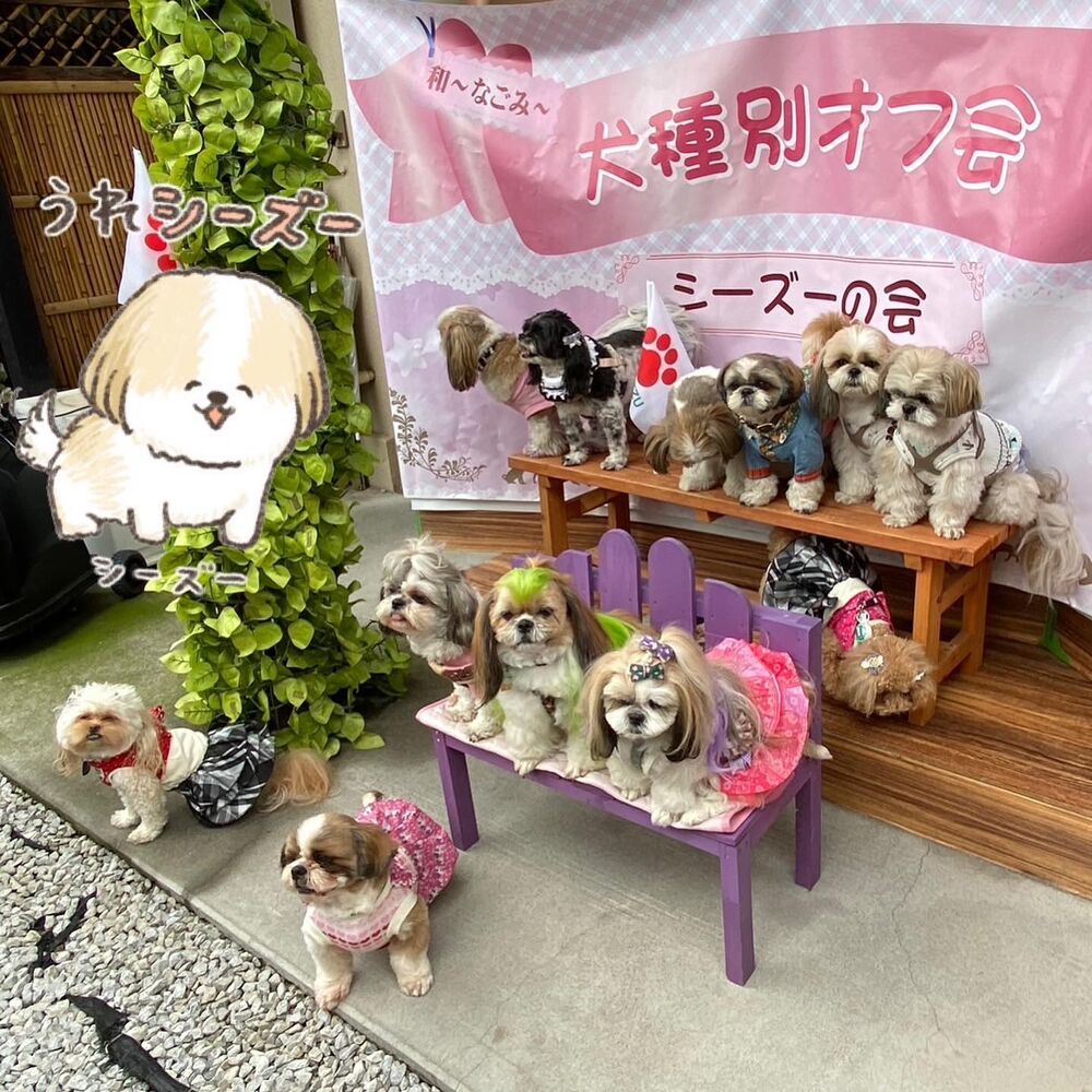 画像15988