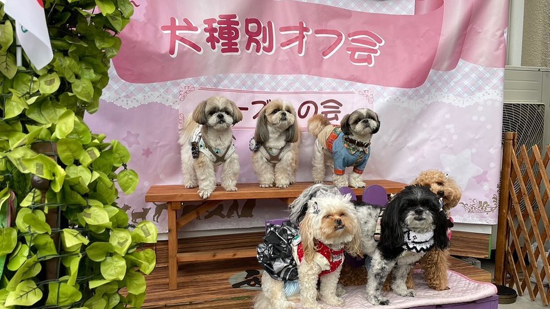 画像15998