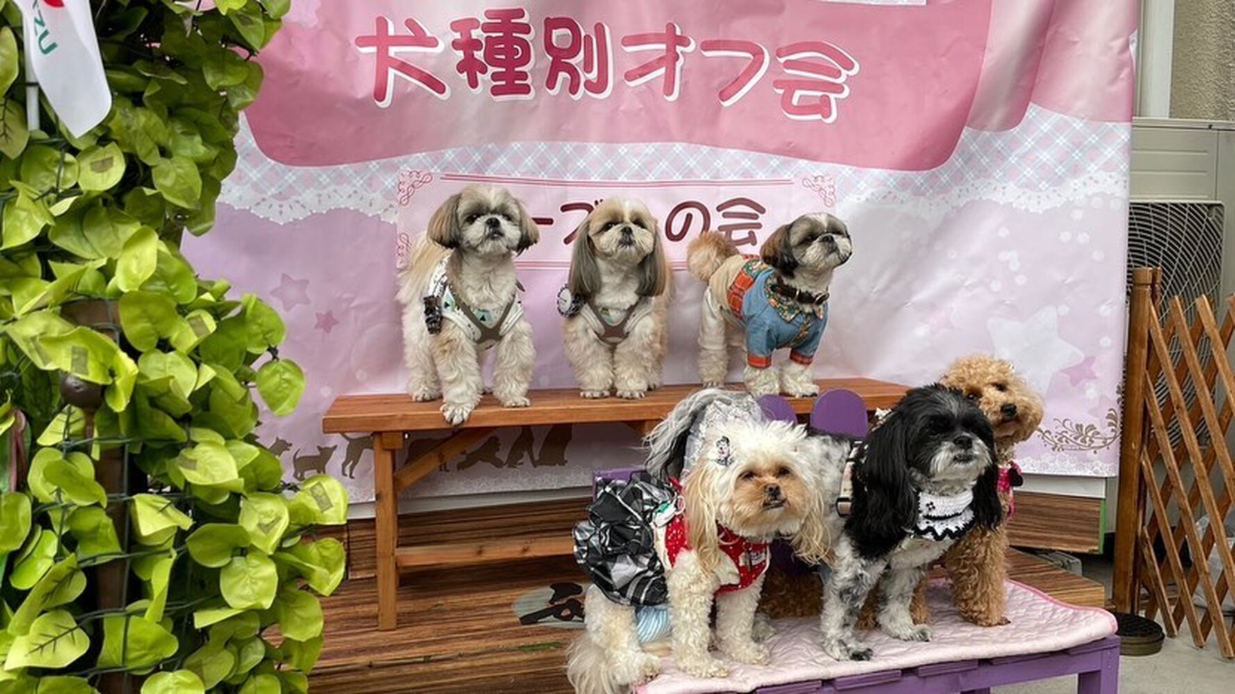 画像15999