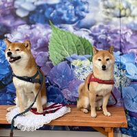 画像16020
