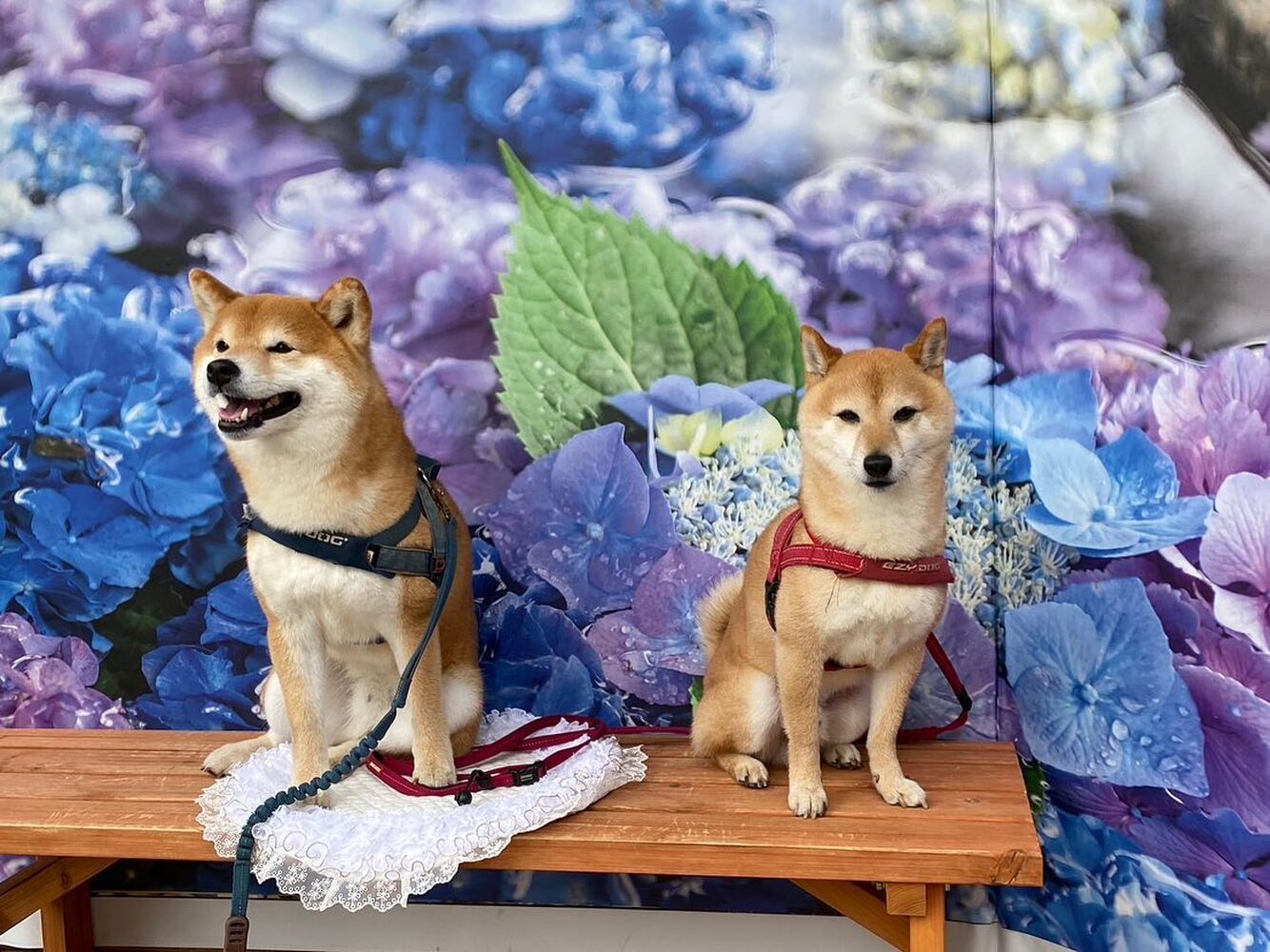 画像16020