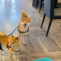 画像16025