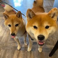 画像16027