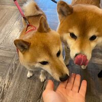 画像16028