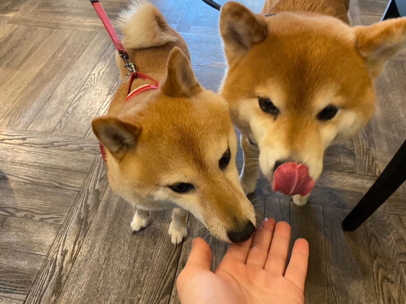 画像16028