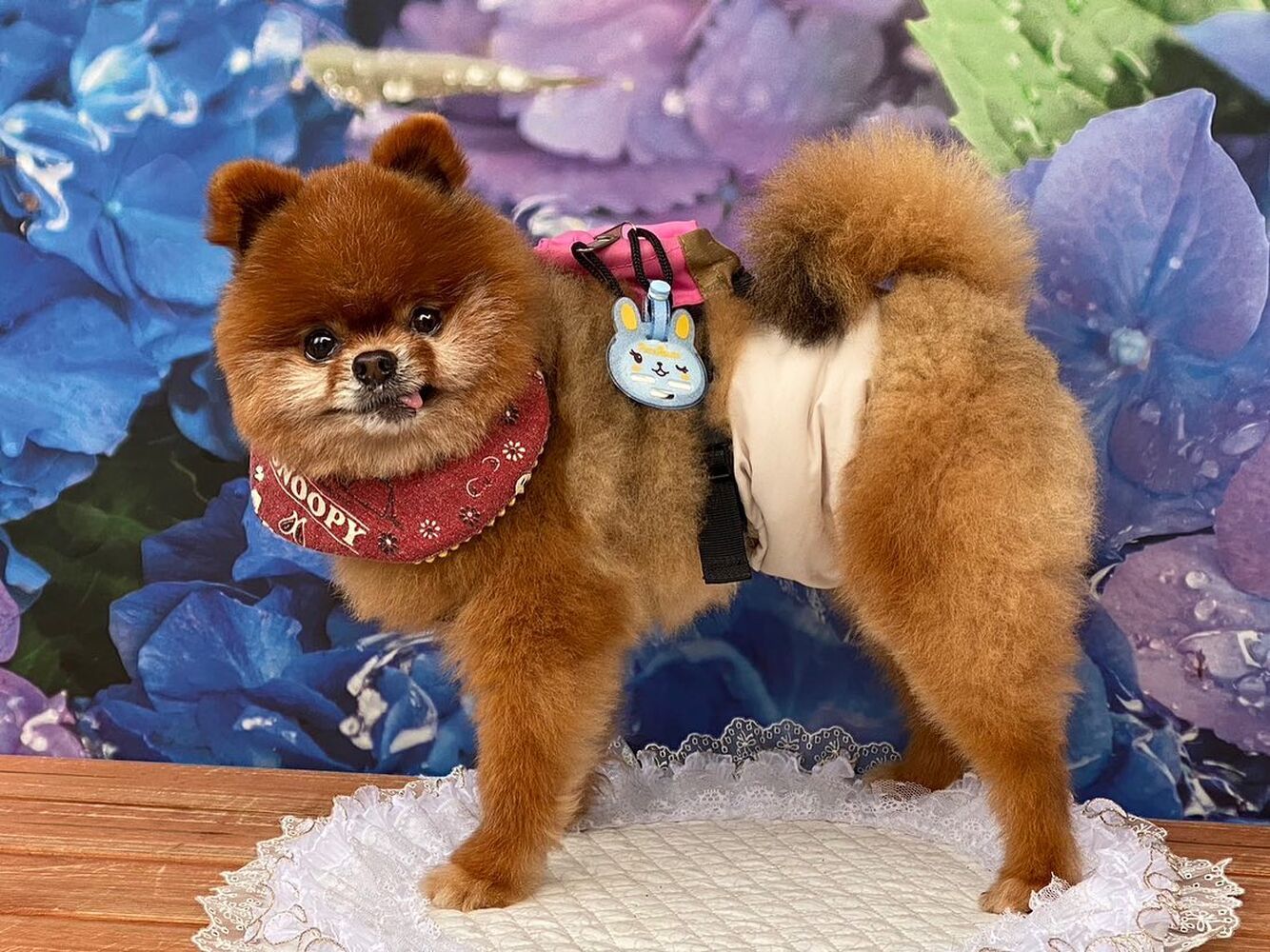 画像16128