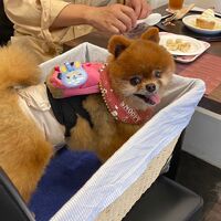 画像16134