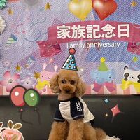 画像16155