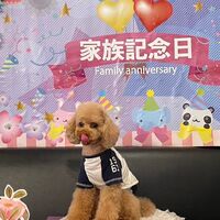 画像16156