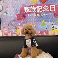 画像16157