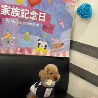 画像16160