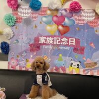 画像16161