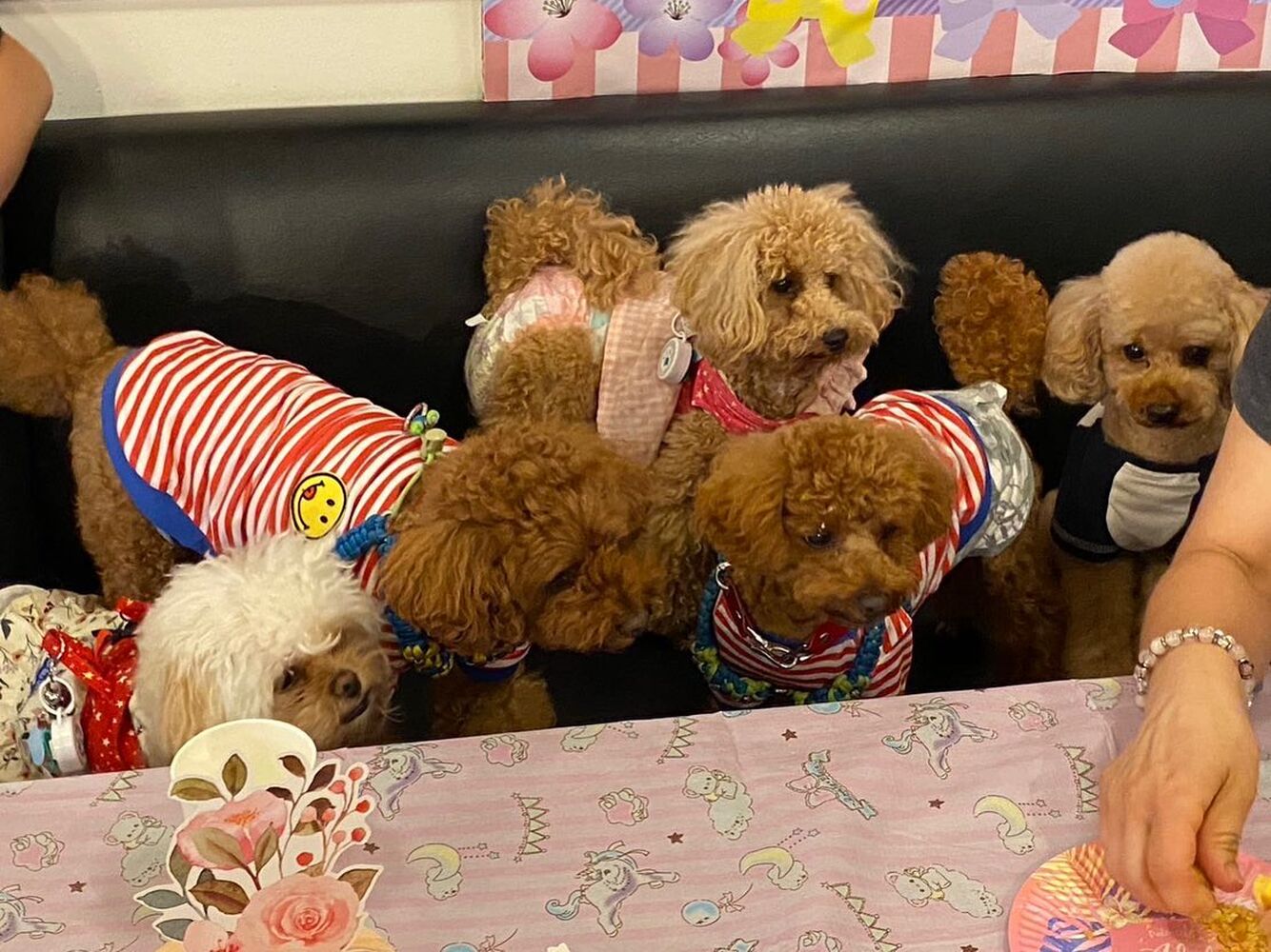 画像16171